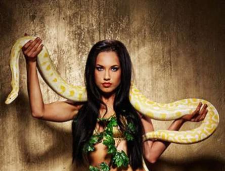 Совместимость женщины змеи в другими знаками